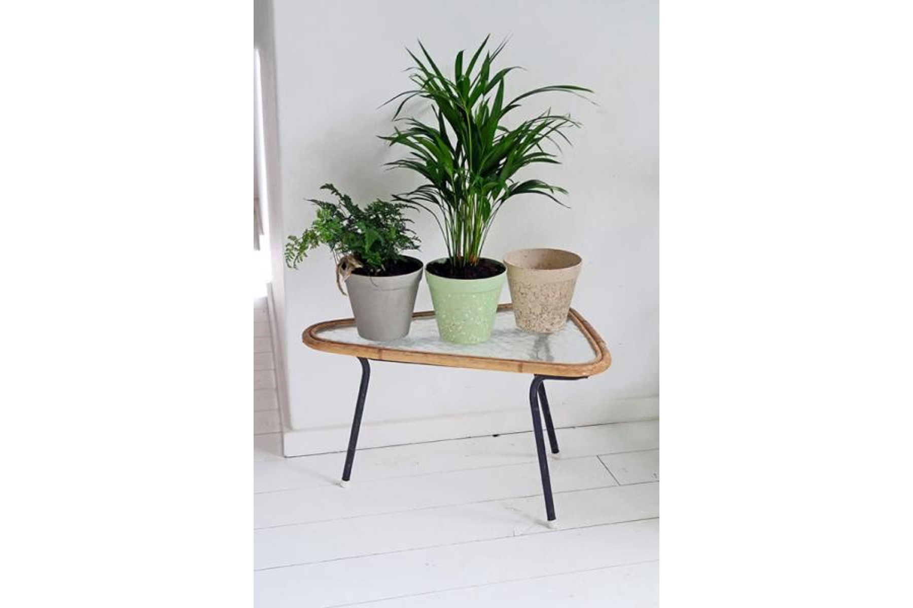 Image of Környezetbarát virágtartók (virágcserepek)