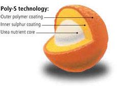 Poly-S technológia: nitrogén mag, belső kén réteg, külső polimer réteg Poly-S kép