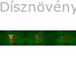 © Díszkertgondozási tanácsok a 15. héten