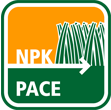PACE icon