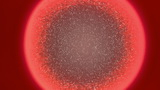 Baktérium (bacillus) tenyészet kép