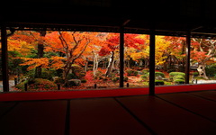 Japánkert kép