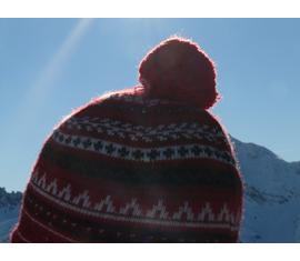 Fagyérzékeny dísznövények téliesítésének kellékei Fagyérzékeny dísznövények téliesítésének kellékei