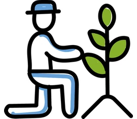 ▼ Dísznövény ültetés