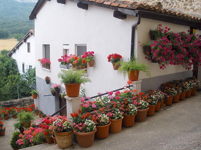 Edényes növények Spanyolországban kép