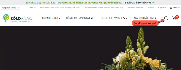Webáruházunk keresője kép