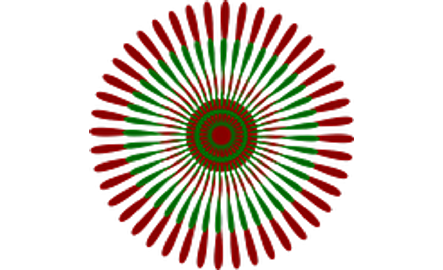Dísznövény Webáruház Nyitás