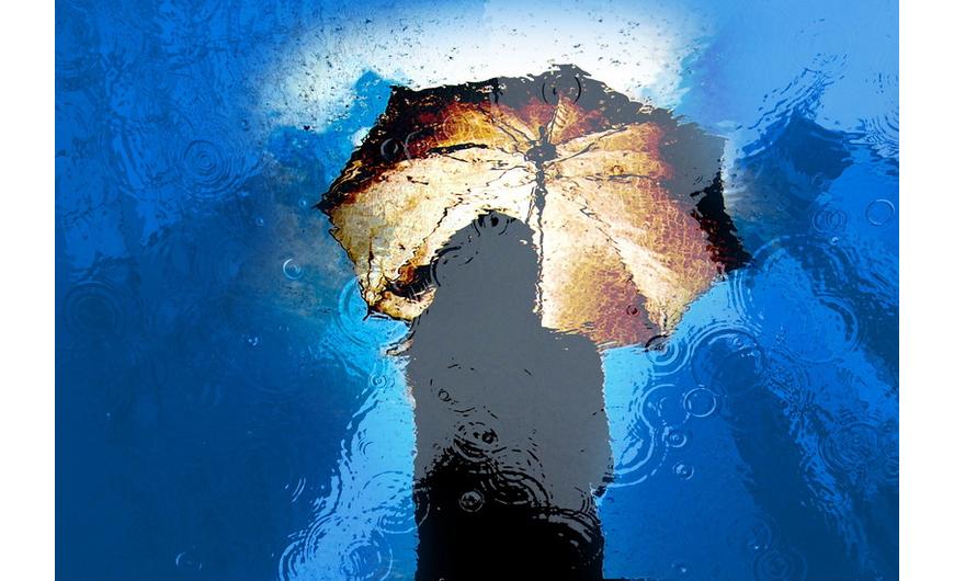 33. Legfontosabb permetezés, a lemosópermetezés | Dísznövény blog