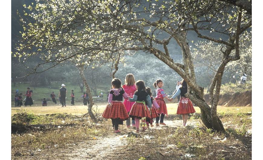 14. Mi vár a díszkertekben tavaszon ránk? - Dísznövény blog