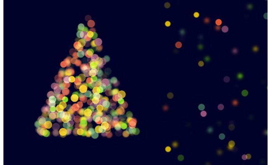 24. Fenyő | Karácsony | Kiültetés - Dísznövény blog